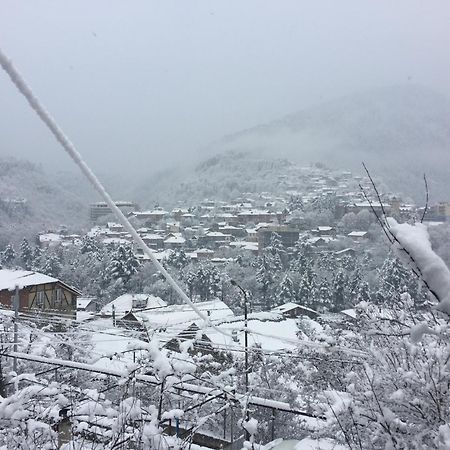 Greenland Hotel Borjomi Exterior foto